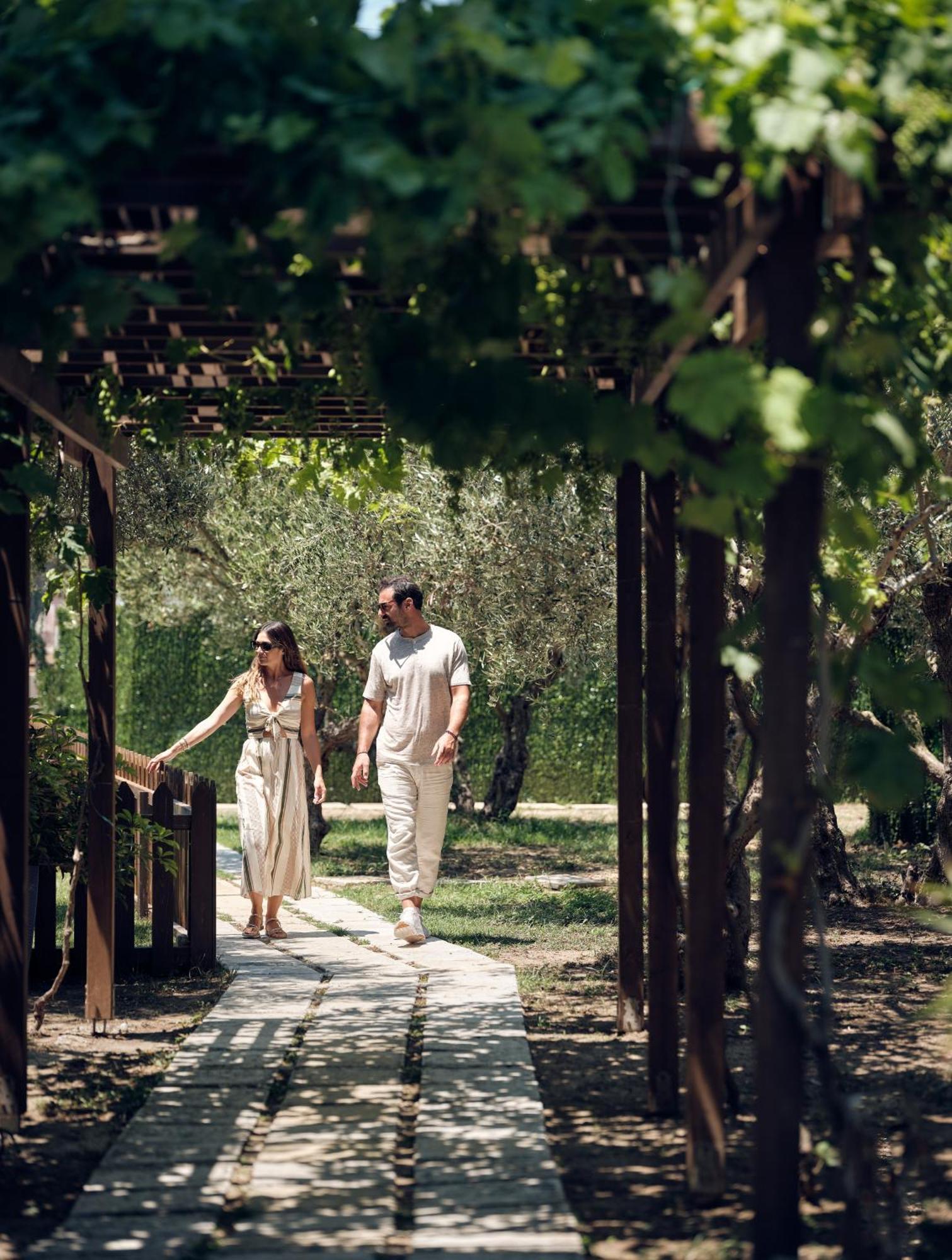 Lesante Classic - Preferred Hotels & Resorts Tsilivi  Esterno foto